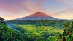 Tag på rundrejse på din rejse til Bali