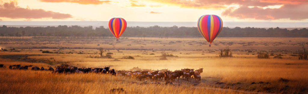 Kenya - ultimativ safari oplevelse