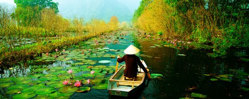 Rundrejse til Vietnams højdepunkter
