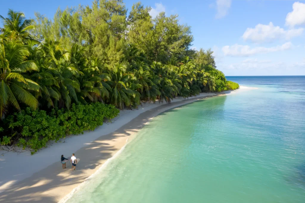 Rejser til Seychellerne - Four Seasons Desroches Island