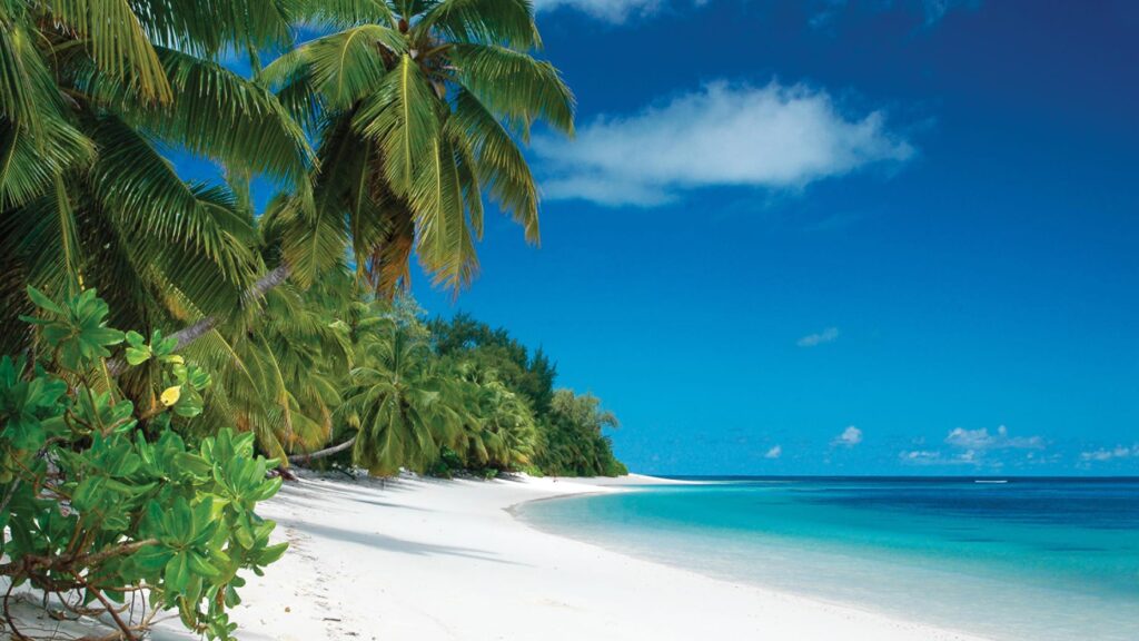 Rejser til Seychellerne - Four Seasons Desroches Island