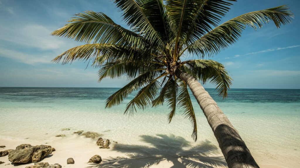 Rejser til Seychellerne - Four Seasons Desroches Island