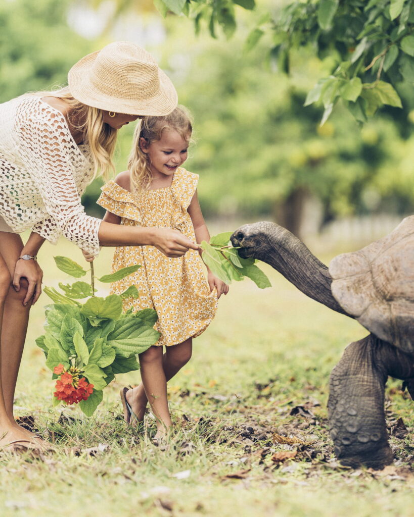 Rejser til Seychellerne - Four Seasons Desroches Island