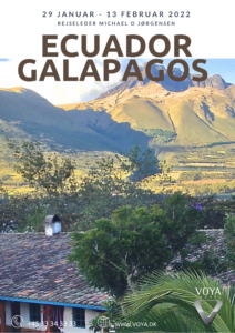 Rundrejse med cruise til Galapagos og Ecuador