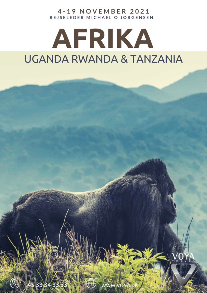 Rundrejse med rejseleder til Rwanda, Uganda, Tanzania