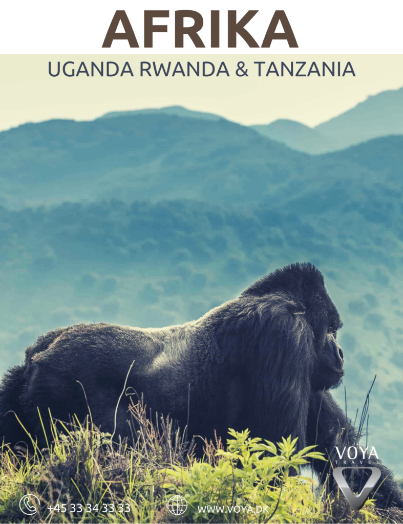 Rundrejse med rejseleder til Rwanda, Uganda, Tanzania
