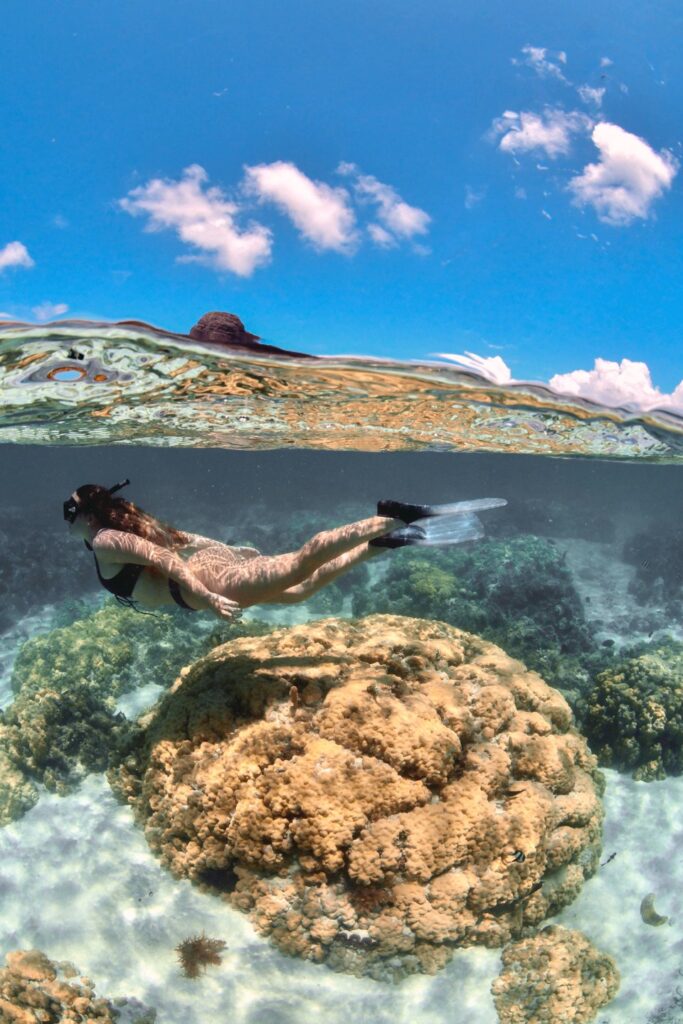 Paradis Beachcomber Snorkling