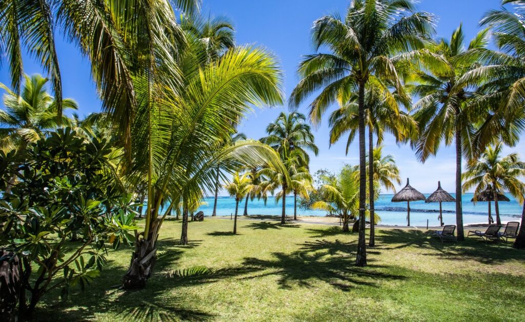 Paradis Beachcomber