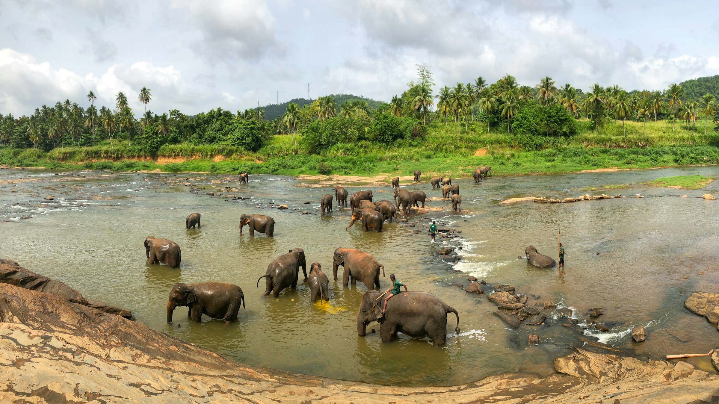 14 dages rundrejse i Sri Lanka