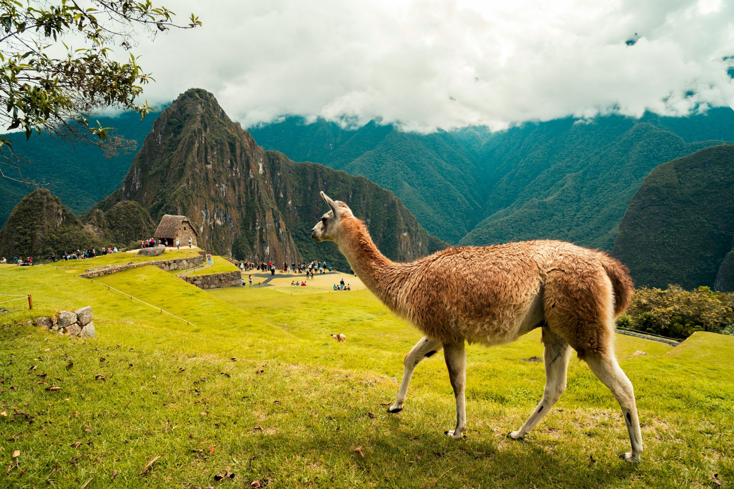 Det bedste af Peru
