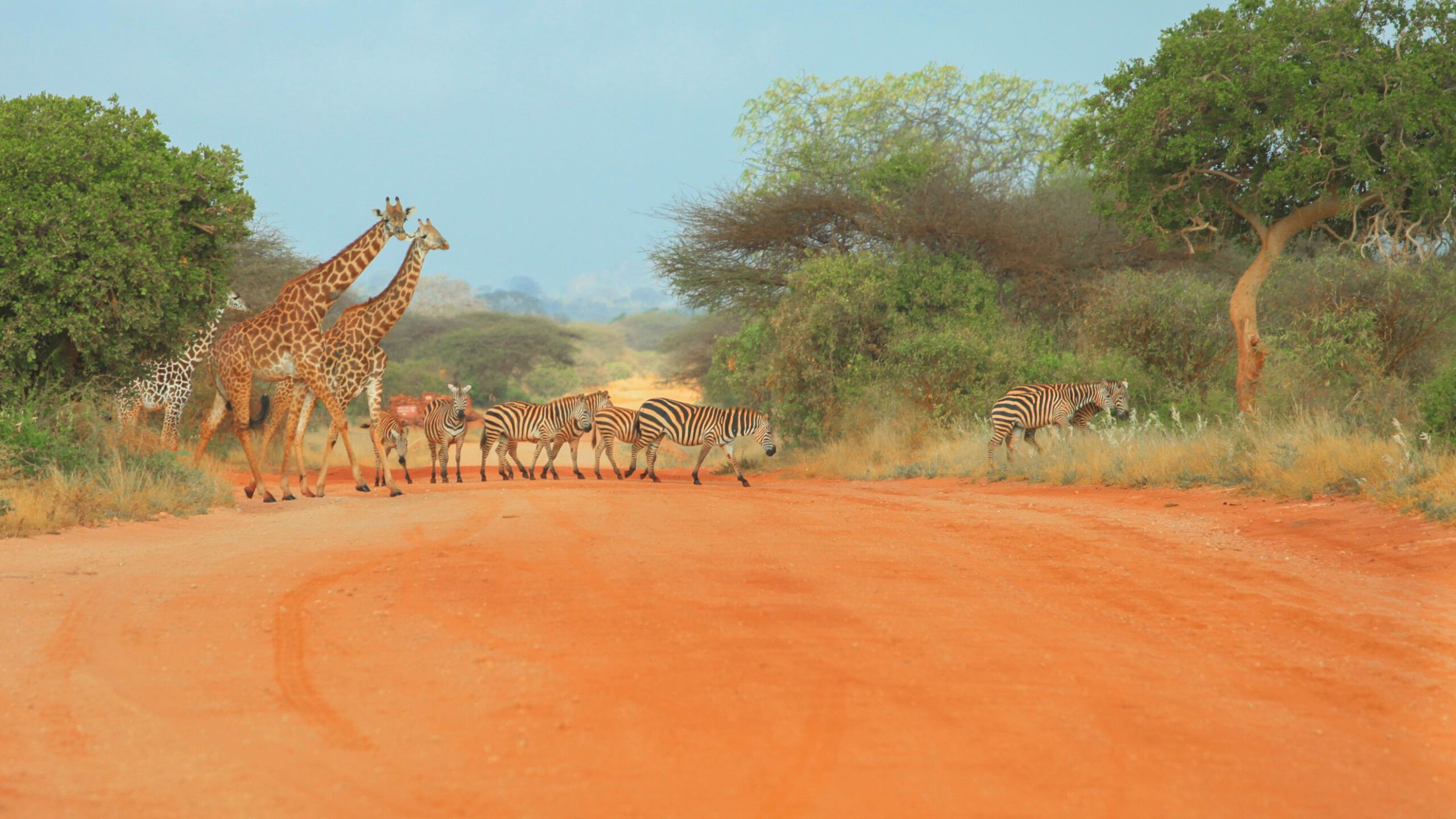 Masai Mara & Diani Beach Kenya – Luxury Collection
