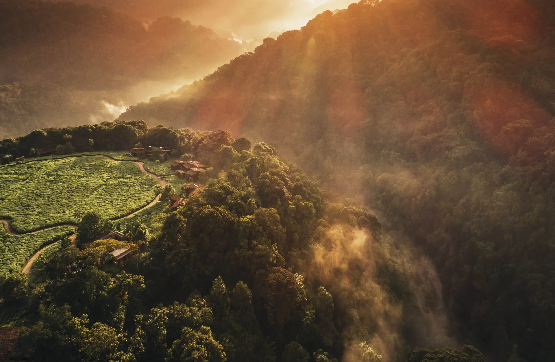 Deluxe Nyungwe & Volcanoes National Park Rwanda
