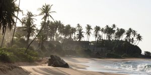 Beach Amanwella - Sri Lanka