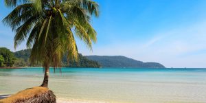 Beautiful-palm-tree-on-a-tropical-island-beach