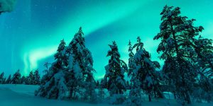 Rejse med rejseleder til Kakslauttanen Finland