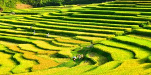 Puluong_retreat_Vietnam_landscape18