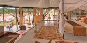 Sasaab Tented Camp - Samburu