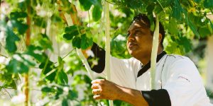 anantara_tangalle_resort_restaurant_farm_to_table_dining_experience_1920x1037